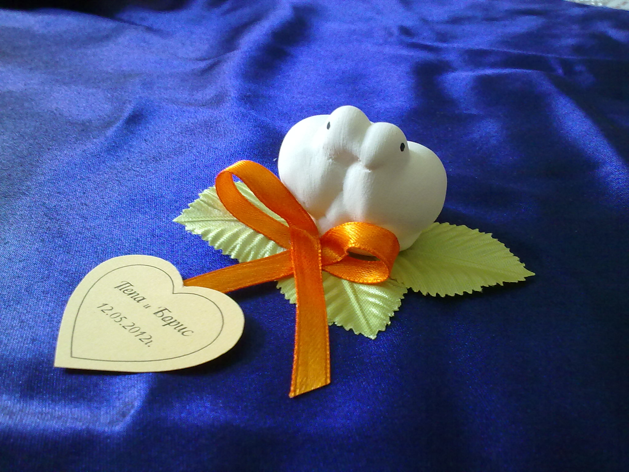 Двойка гълъби 17